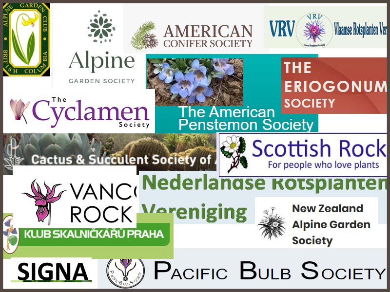 Allied Plant Societies