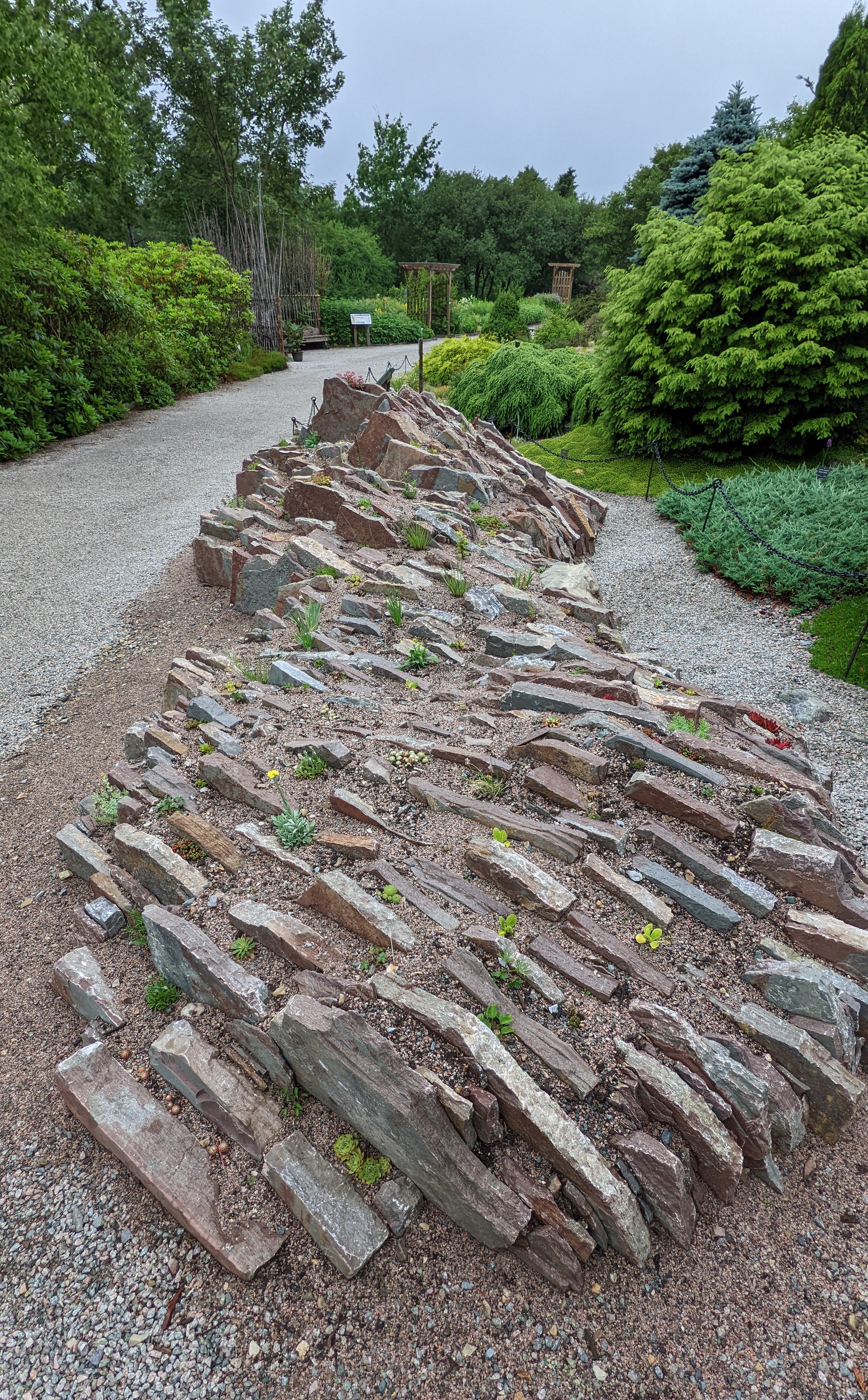 Crevice Garden MUNBG