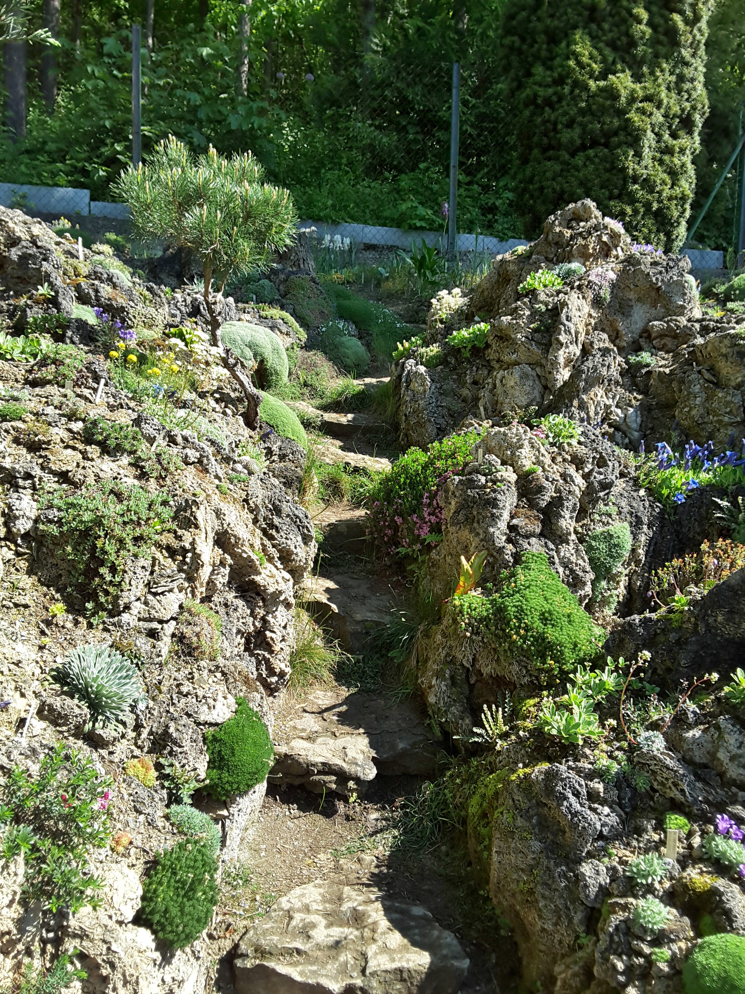 Cepicka Crevice Goat Path