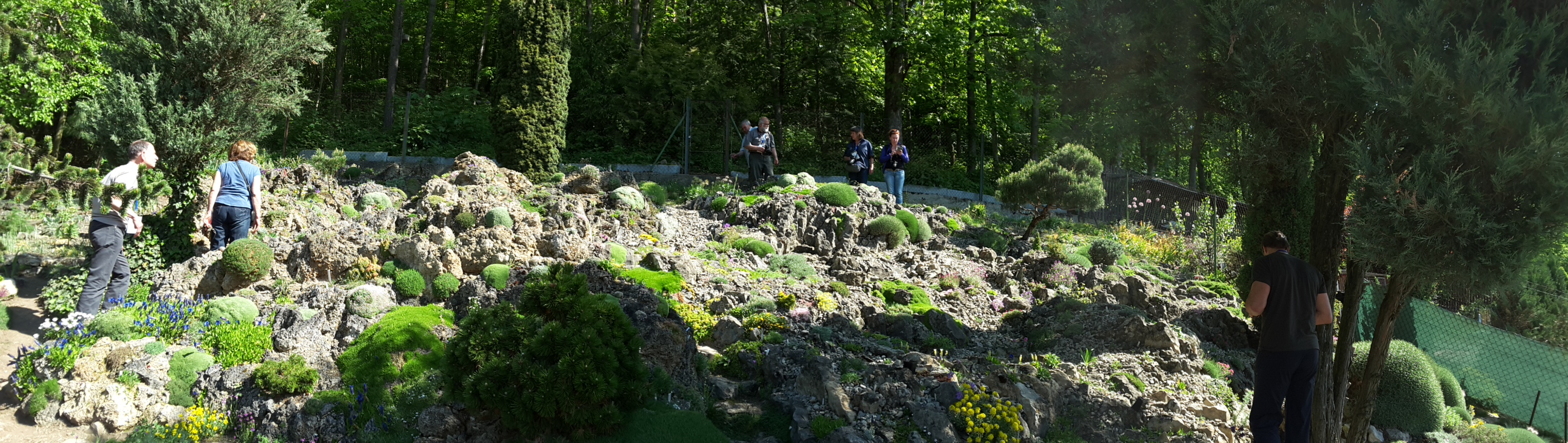 Cepicka Crevice Overview