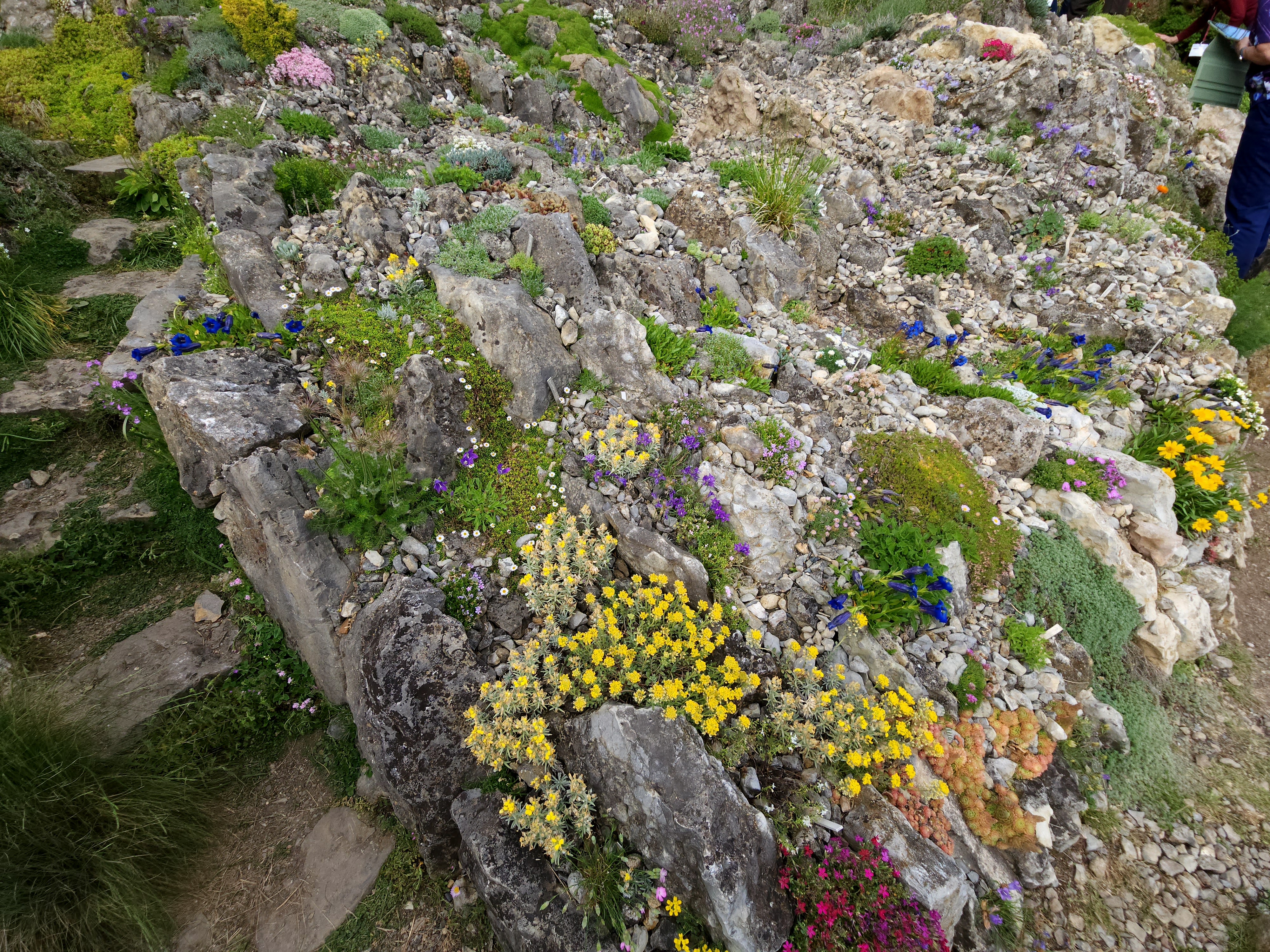 Base of the Cepicka Hillside