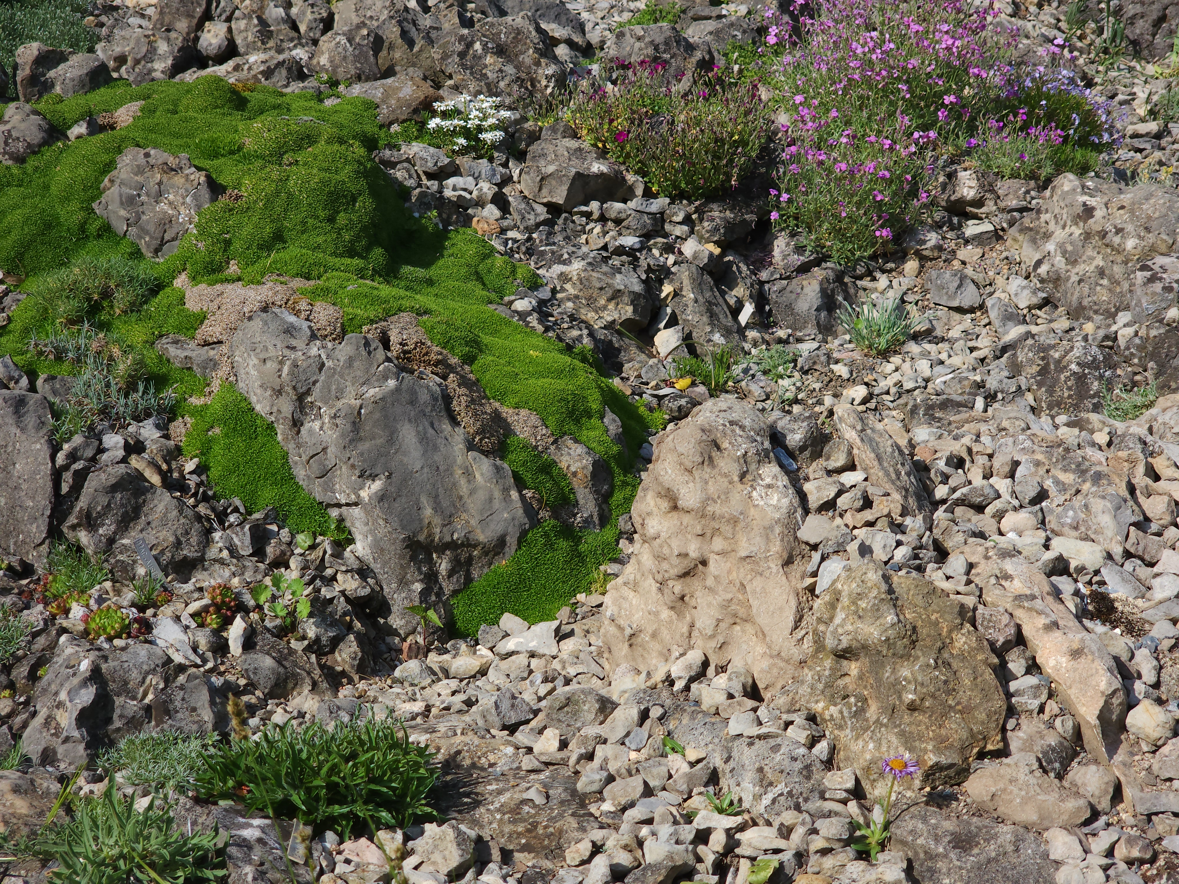 Cepicka Cushions with Gravel