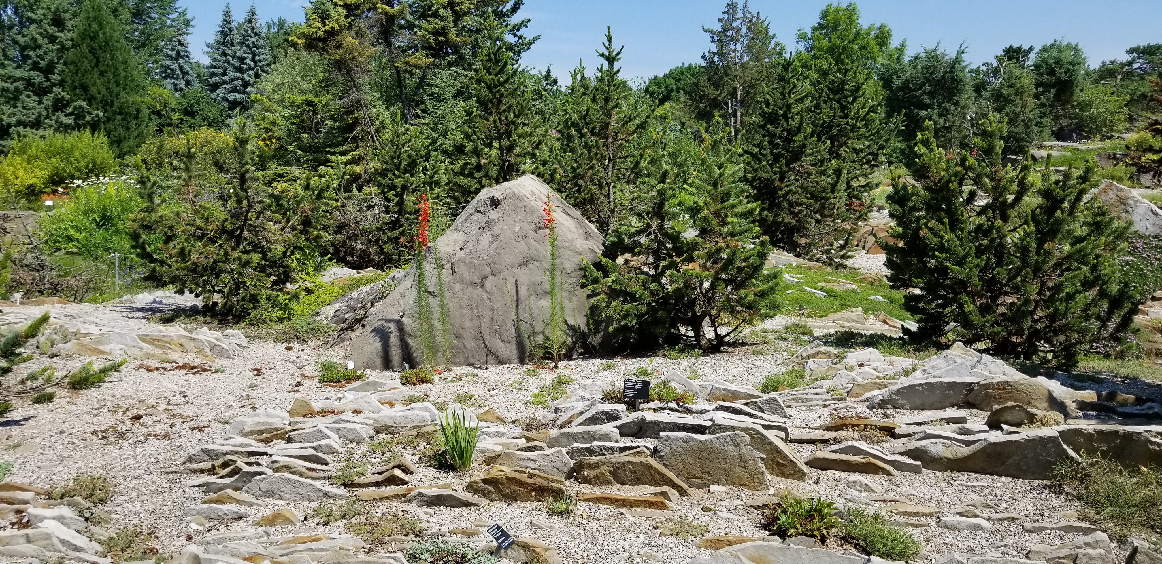 Montreal Crevice Garden