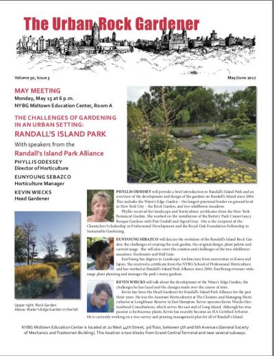 The Urban Rock Gardener