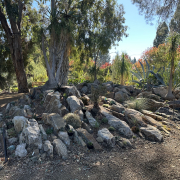 The new crevice garden