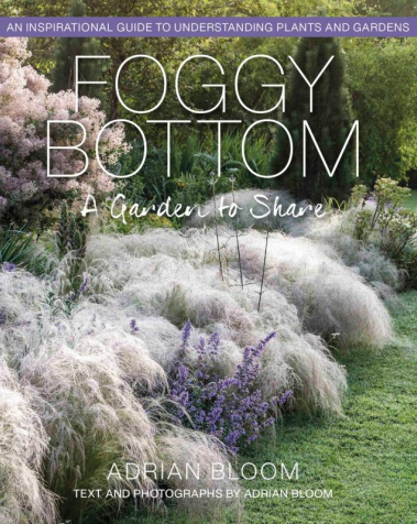 Foggy Bottom: A Garden to Share
