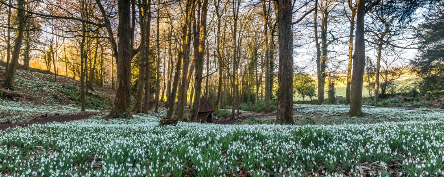 Painswick Rococo Garden