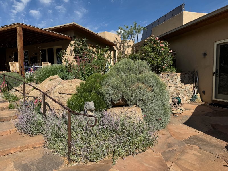 The garden at the front steps. The garden at the front steps.