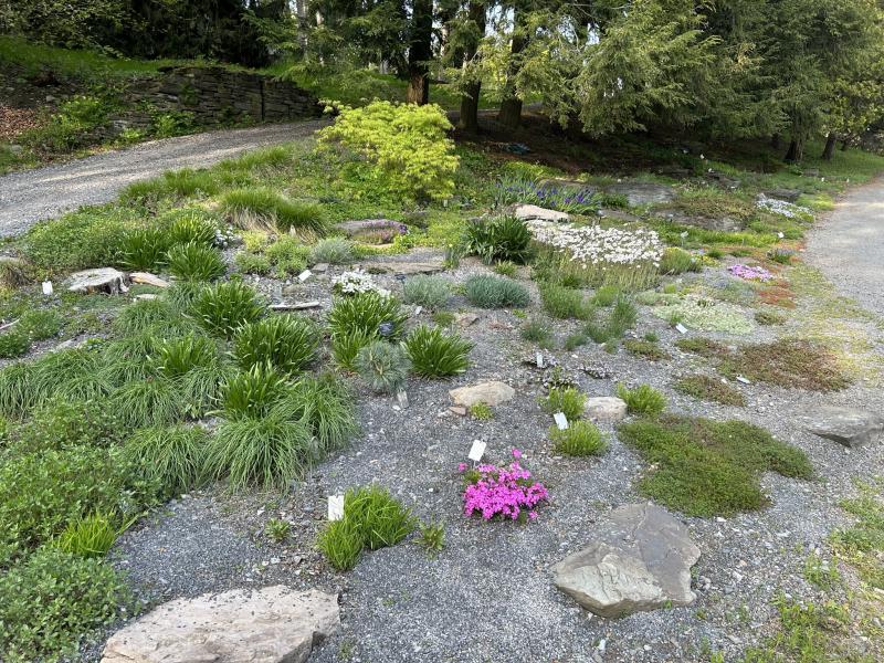 The garden in 2023 after restoration. The garden in 2023 after restoration.