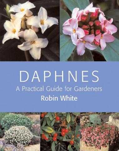 Daphnes: A Practical Guide for Gardeners Daphnes: A Practical Guide for Gardeners book cover
