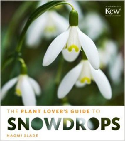 A Plant Lovers Guide to Snowdrops