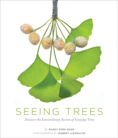 Seeing Trees — Discover the Extraordinary Secrets of Everyday Trees Seeing Trees book cover