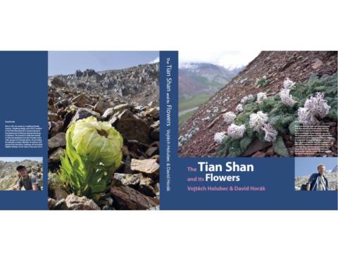 The Tian Shan and its Flowers