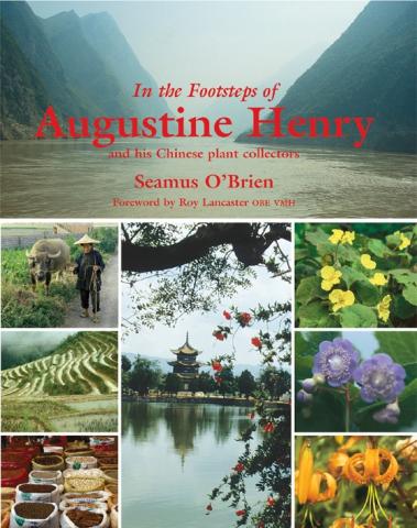 In the Footsteps of Augustine Henry and His Chinese Plant Collectors In the Footsteps of Augustine Henry: book cover