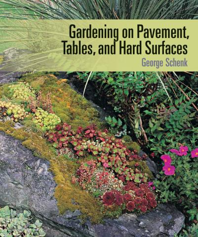 Gardening on Pavement, Tables, and Hard Surfaces Gardening on Pavement, Tables, and Hard Surfaces book cover