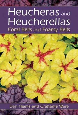 Heucheras and Heucherellas: Coral Bells and Foamy Bells Heucheras and Heucherellas: book cover
