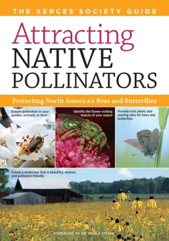 Attracting Native Pollinators: Protecting North America’s Bees and Butterflies Attracting Native Pollinators: book cover