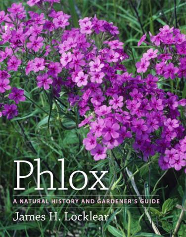 Phlox: A Natural History and Gardener's Guide book cover