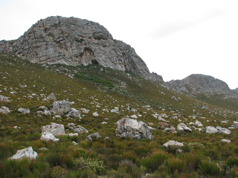 Views of the Royal Botanic Garden, Ediburgh’s rock garden circa 1876. Images courtesy of the RBGE archives. Views of the Royal Botanic Garden, Ediburgh’s rock garden circa 1876. Images courtesy of the RBGE archives.