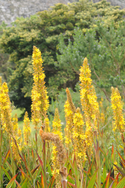Chalk Mountain Chalk Mountain
