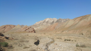 'Positively Glowing' 'Positively Glowing'