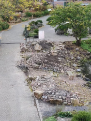 Cultivar beds being removed and expanded southern hemisphere beds being constructed. Cultivar beds being removed and expanded southern hemisphere beds being constructed.