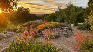 The front berm in the garden