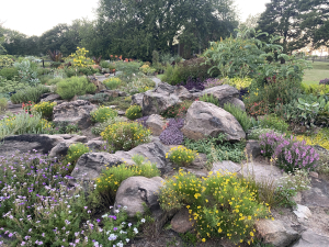 Rock garden in full bloom
