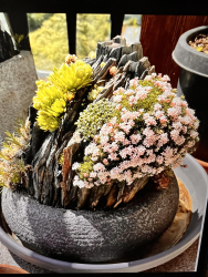 Completed container in bloom. Completed container in bloom.