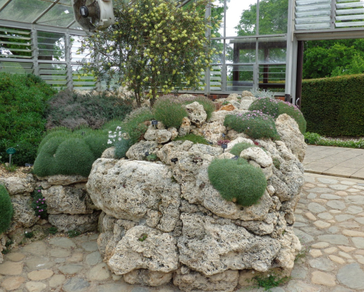 The tufa wall inside the Landscape Alpine House at RHS Garden Wisley The tufa wall inside the Landscape Alpine House at RHS Garden Wisley