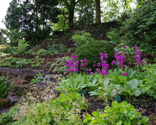 Peat beds, left upper side, rebuilt winter and spring of 2020-2021 .