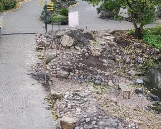 Cultivar beds being removed and expanded  southern hemisphere beds being  constructed.