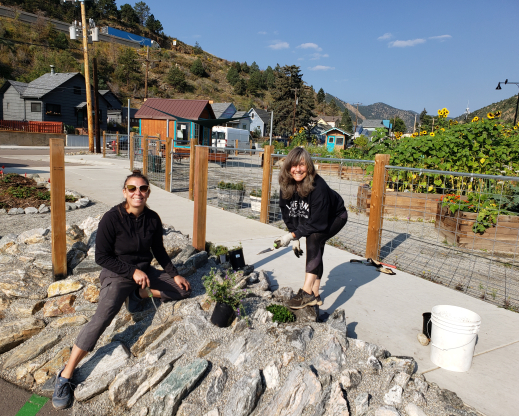 Volunteers planting the garden Volunteers planting the garden