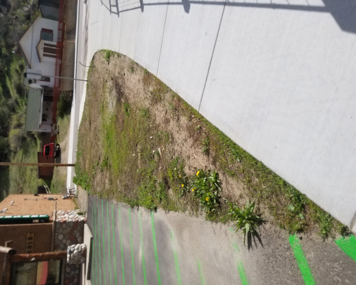 The space before the garden construction began The space before the garden construction began