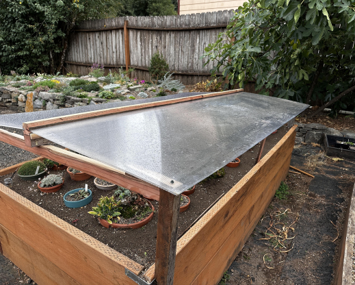 The alpine frame with the cover in place to protect plants from excess rainfall