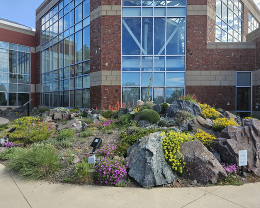 View of the crevice garden View of the crevice garden