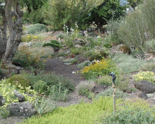 View in Kathy’s garden (Photo by Leigh Blake)