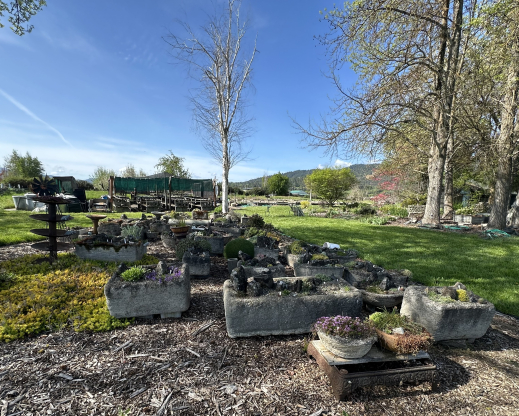 Trough collection and sales area