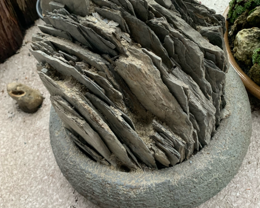 The process of building a crevice garden in a  container.