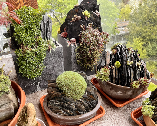 Different pot sizes and shapes each bring a different look to the composition.  