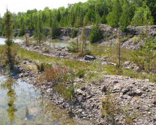 An abandoned quarry is full of rock gardening inspiration.