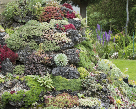 Many pieces of tuff placed together to create the effect of a large boulder.