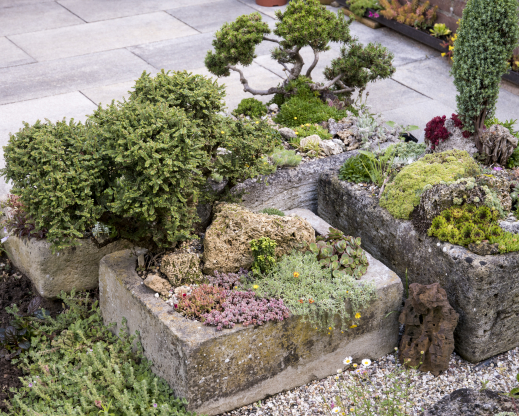 Troughs in the garden