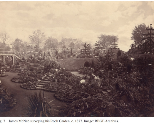 Views of the Royal Botanic Garden, Ediburgh’s rock garden circa 1877. Images courtesy of the RBGE archives. Views of the Royal Botanic Garden, Ediburgh’s rock garden circa 1877. Images courtesy of the RBGE archives.