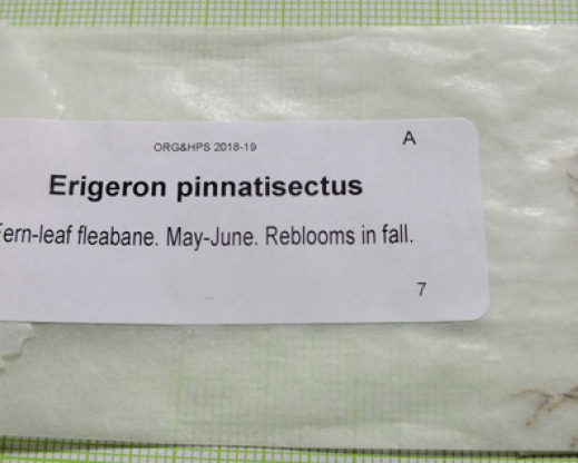 An example of a recent ORG&HPS seed exchange envelope. An example of a recent ORG&HPS seed exchange envelope.