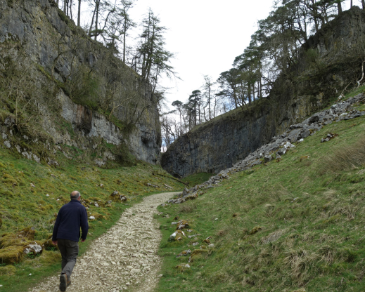 The rocky landscape of Ingleborough, where Farrer grew up. Photo by Joseph Tychonievich 