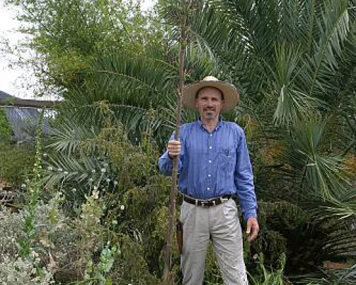 The first documented Mangave hybrid blooming at Yucca Do Nursery. The first documented Mangave hybrid blooming at Yucca Do Nursery.