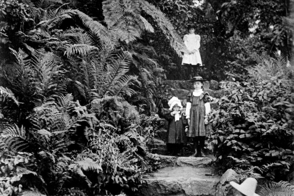 A circa 1900 photograph looking west of the rockery’s rustic stone stairway.
