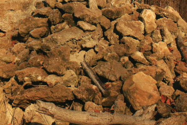  Tufa pile from farm fields, drained former wetlands, in Ohio