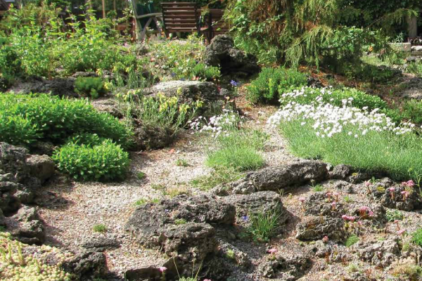  A view of of the Thompson tufa rock garden